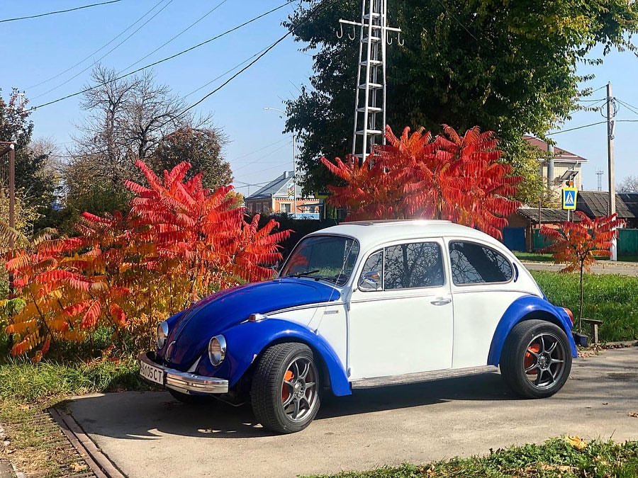 retro_autocollection_labinsk в LOOKY. #vwkäfer,#vwjuke,#vwkafer,#retroauto,#autoretro,#retroauto_ussr. Volkswagen Juke, 196...