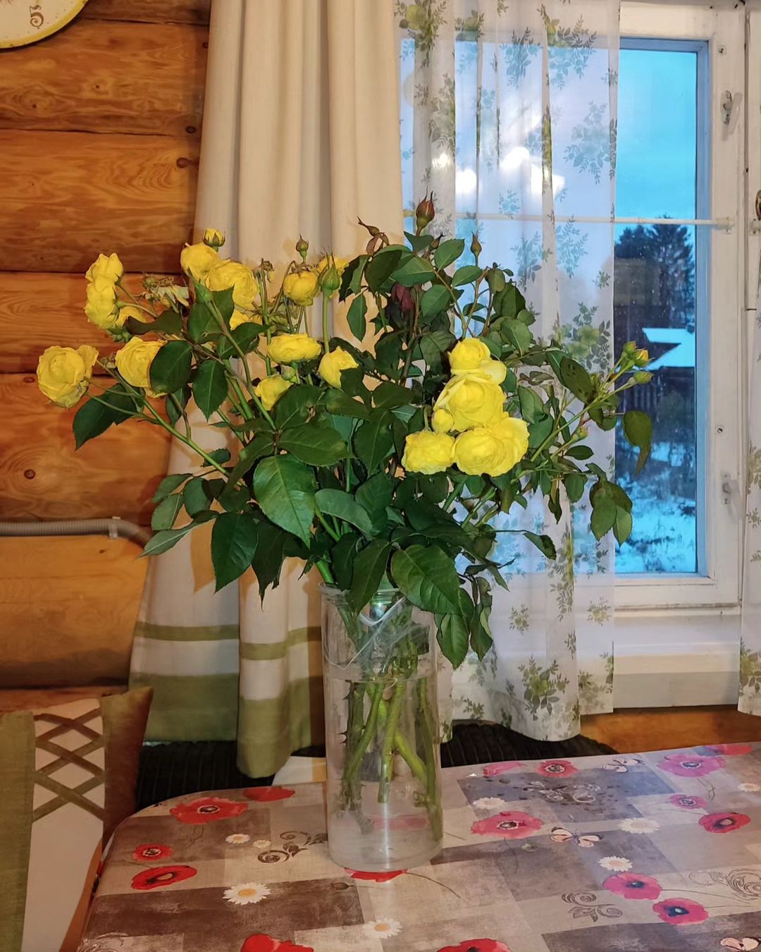 Последний дар от моих розочек. Буквально из под снега #последниерозы #розыизподснега