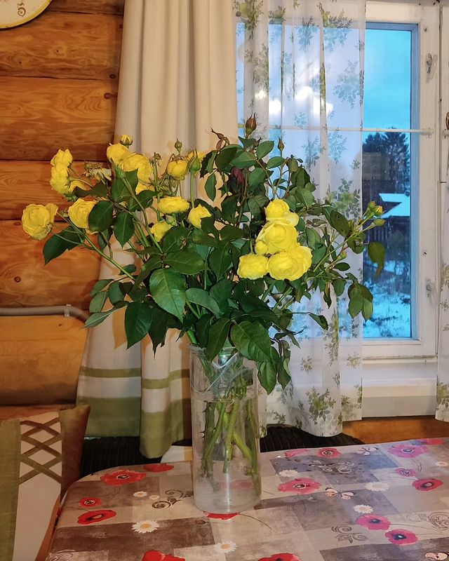 oleninaaleksandra в LOOKY. #последниерозы,#розыизподснега. Последний дар от мои...