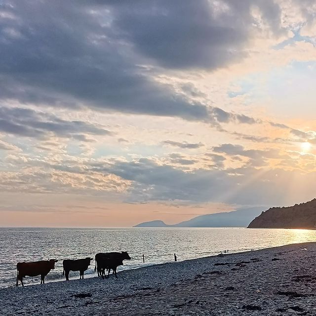 air в LOOKY. #sea,#seaside,#sunset,#nature,#природа,#море,#побережье,#закат,#beautiful,#russia,#autumn,#осень,#landscape,#россия,#naturephotography,#naturelovers,#crimeaphoto,#crimea,#крым,#landscapephotography,#landscapelovers,#юг,#коровы,#cows. #sea #seaside #sunse...