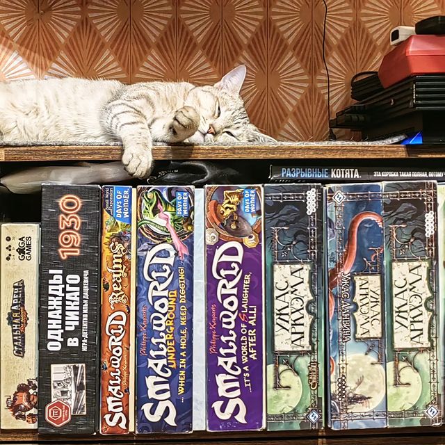 mfn_su в LOOKY. #mfn_su,#mfn_boardgame,#mfn_missy,#битвароботов,#однаждывчикаго,#маленькиймир,#smallworld,#ужасаркхема,#настолки,#кошка,#мисси,#увлечения,#коллекция,#консоли,#спящиебоги,#незванныекости,#ps2,#sonyplaystation,#playstation,#nintendo,#nintendowii,#хобби. 2023/Октябрь/29
Кошк...