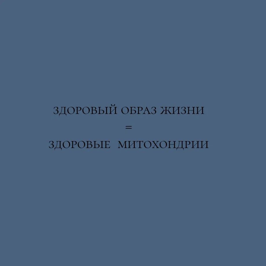 missdir в LOOKY — Модификация образа жизни – это основа коррекции митохондриал