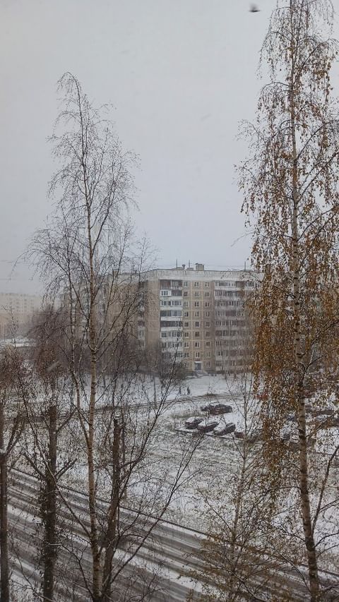 tkh_vvva в LOOKY. . null