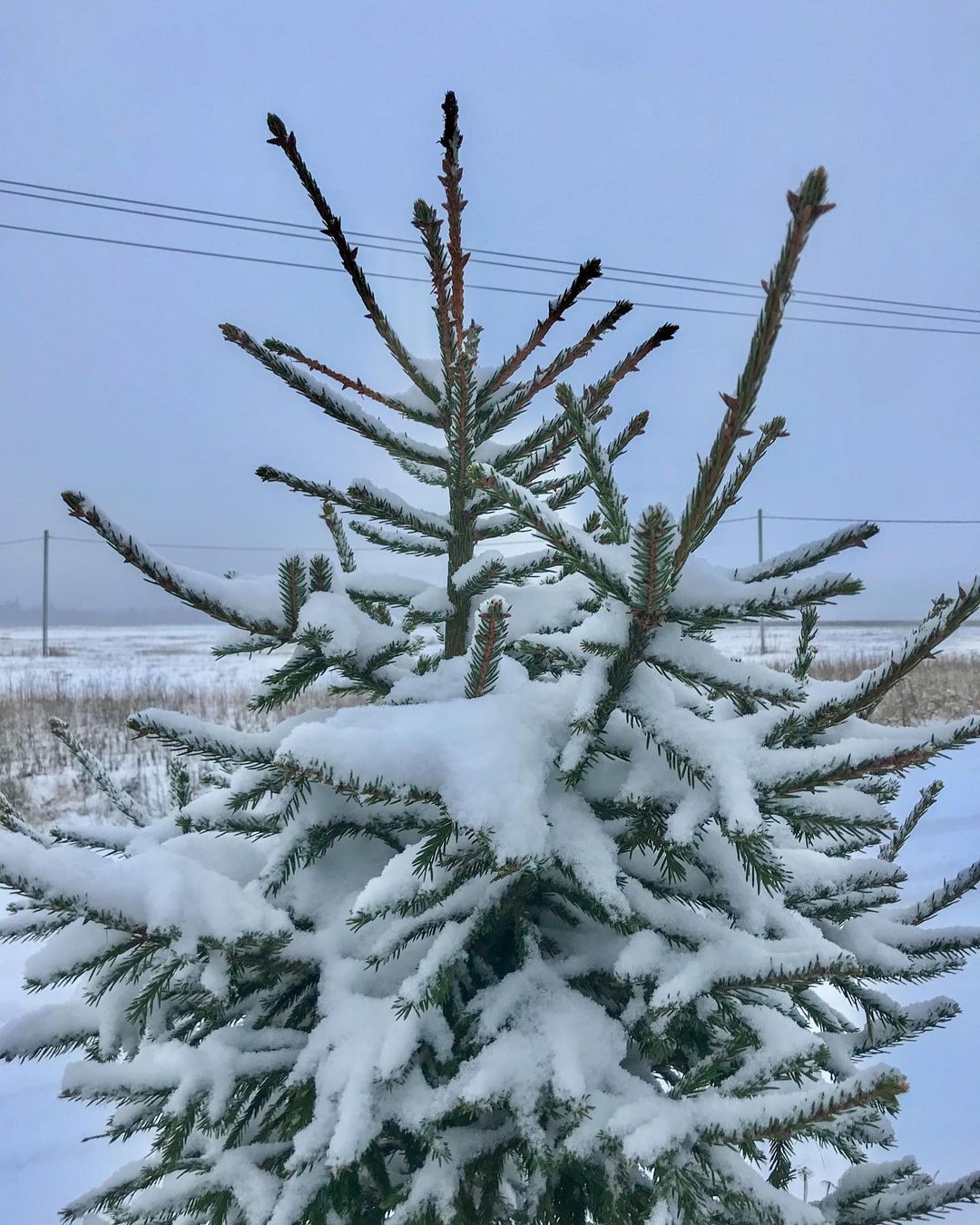 _zoika_zaika_ в LOOKY — фото 10