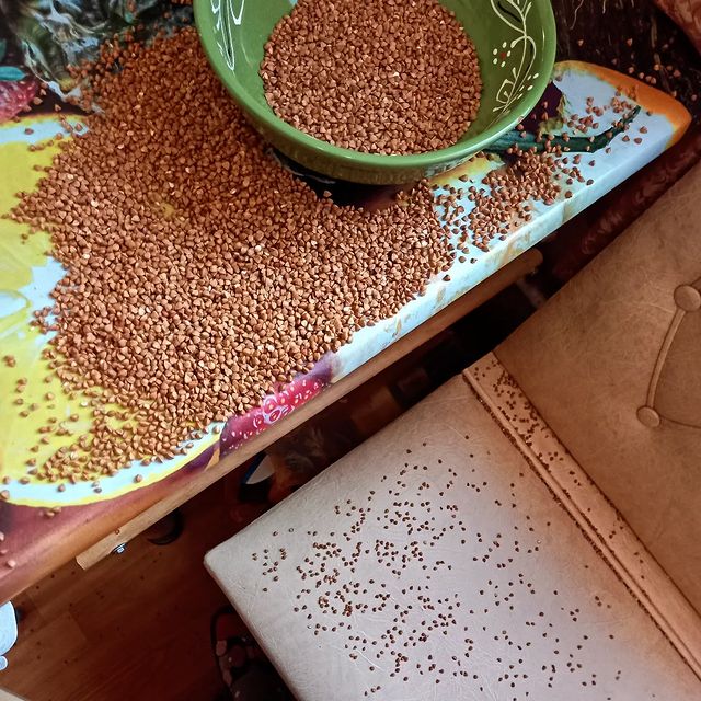 tanuwka_jy в LOOKY. #рукожоп. Эм...
#рукожоп