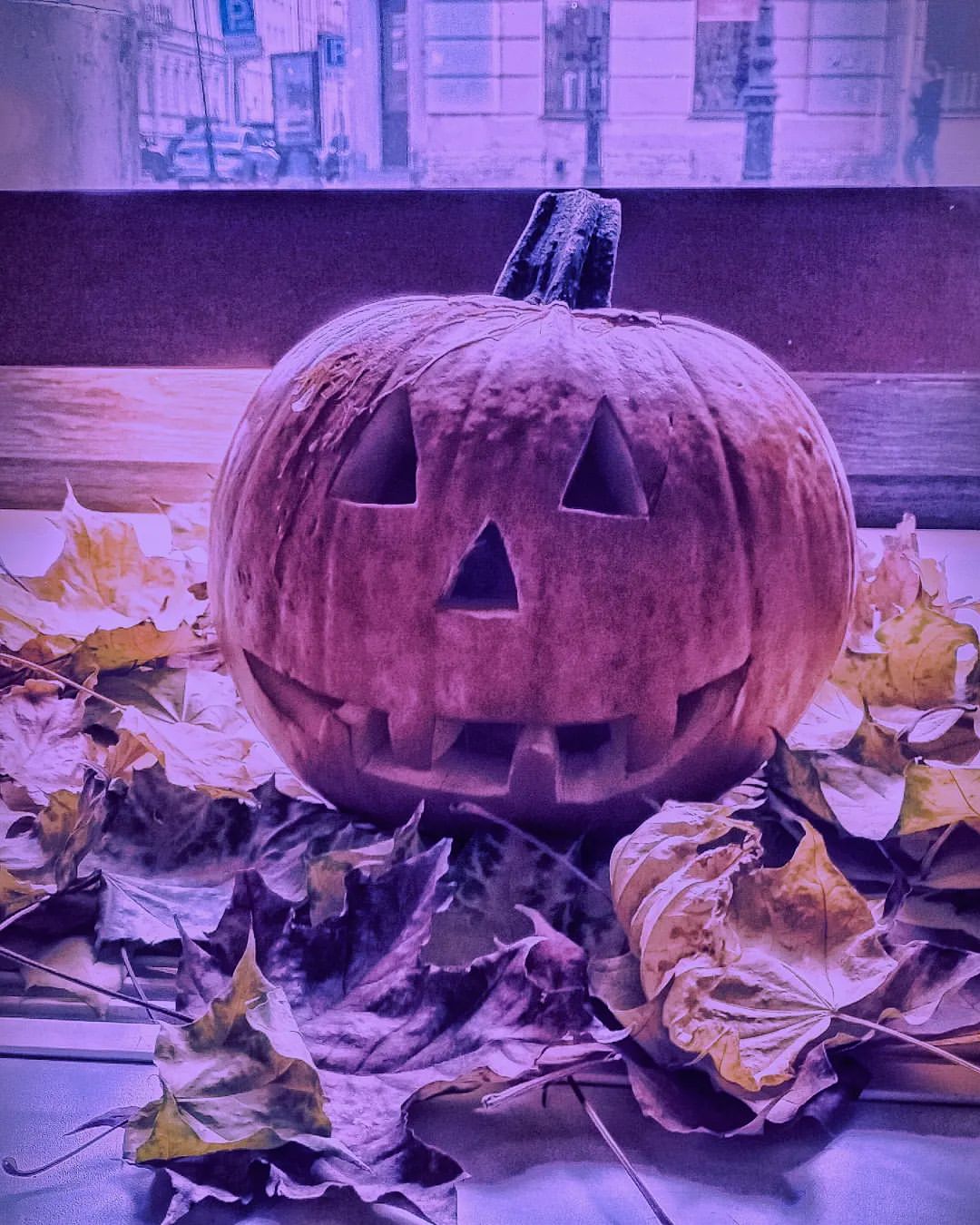 🌒 Иногда, чтобы что-то приобрести, нужно что-то отпустить... 🌘
🎃 С праздником Самайн! 
А так же, с Велесовой ночью, и с Хэллоуином! 🎃

🌒🌓🌔🌕🌖🌗🌘

#велесованочь #виккан #санктпетербург #самайн #спб #хэллоуин #шабаш #helloween #mysticcity #paganism #sabbat #samhain #sanktpeterburg #spb #tarotreader #wicca #wiccan #wiccanlife #witch #witchlife