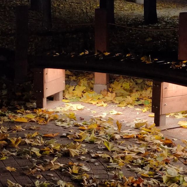_nat__ani_live в LOOKY. . Что такое осень?🍂
Э...