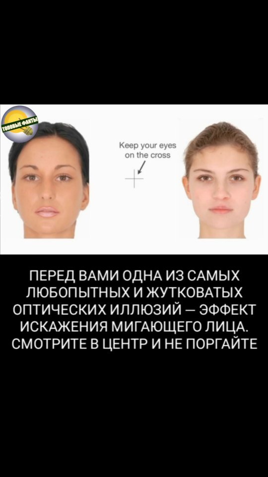 faktst0p в LOOKY. . Спасибо за ❤️
Подпис...