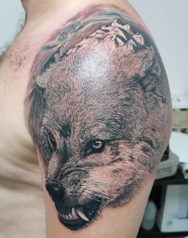 tattoovoron в LOOKY. . null
