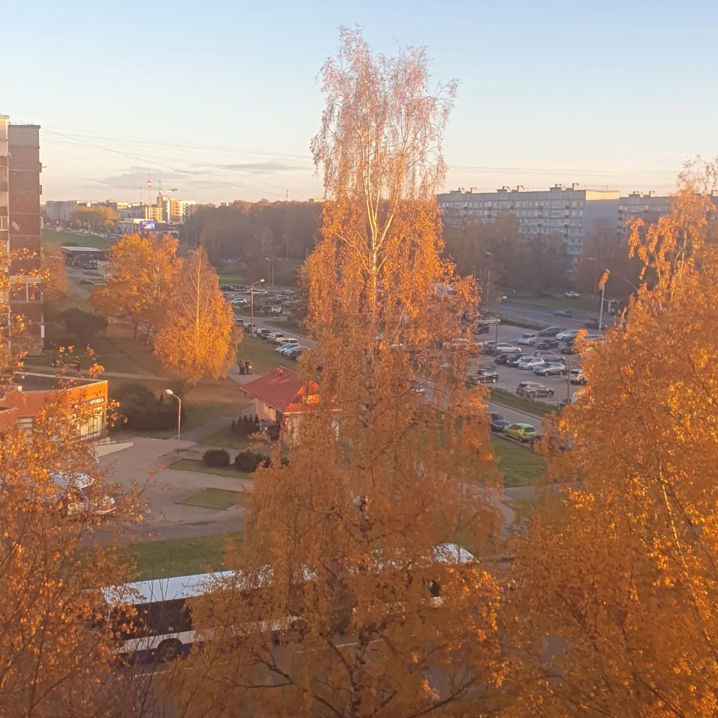 magnezer_ в LOOKY. . 🍁🍂🍁🍂