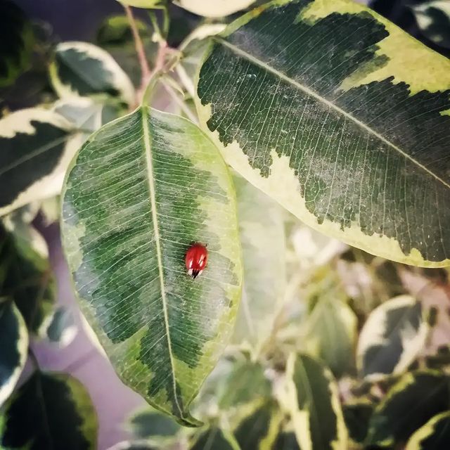 __nnato4ka__ в LOOKY. #1ноября❄️🌨️,#жизньвопреки☀️🐞,#налюбимойработе😊✌❤. #1ноября❄️🌨️ #жизнь...