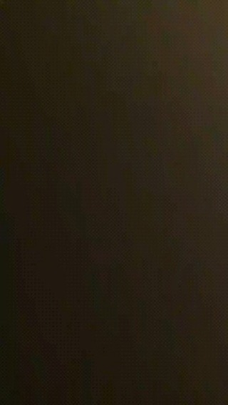 the.tail.wind в LOOKY. . null