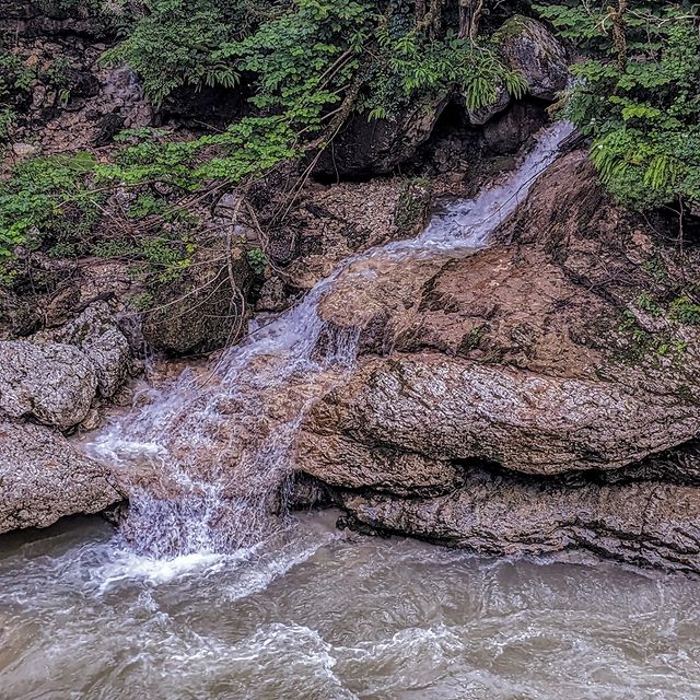 adal_official в LOOKY. #Гуамскоеущелье,#туризм,#лес,#зелень,#водопад,#река,#отпуск,#выходвприроду,#гуамка,#экскурсия,#ущелье,#природа,#GuamGorge,#tourism,#greenery,#vacation,#outdoors,#guamka,#gorge,#,#2023. Небольшие водопады
 ...