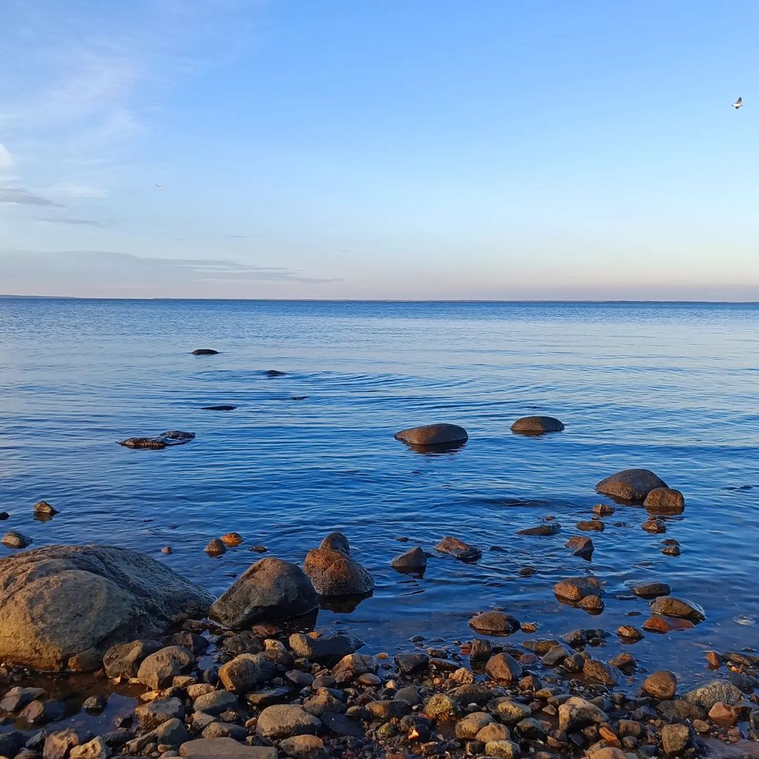 #прогулкипороссии #поездкипороссии Рыбинское водохранилище
