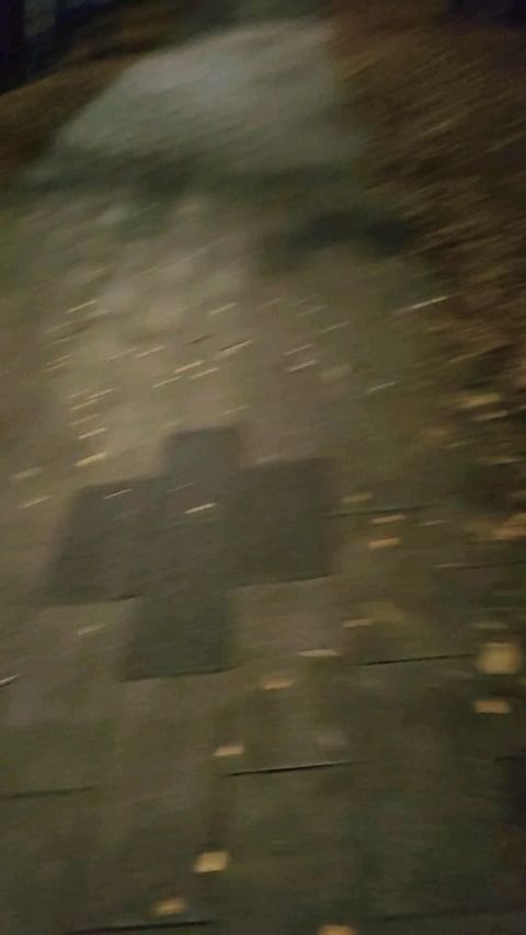 smileulsmileul в LOOKY. . null