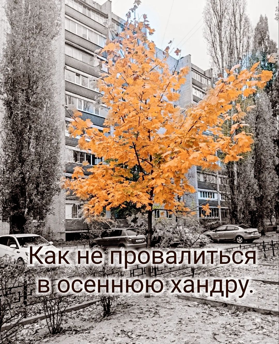 katrin_space8 in LOOKY. #осенняяхандра,#осень,#психология,#осознанность,#духовноеразвитие,#саморазвитие,#какборотьсясосеннейхандрой,#снизитьстресс. Все мы люди хотим мы...