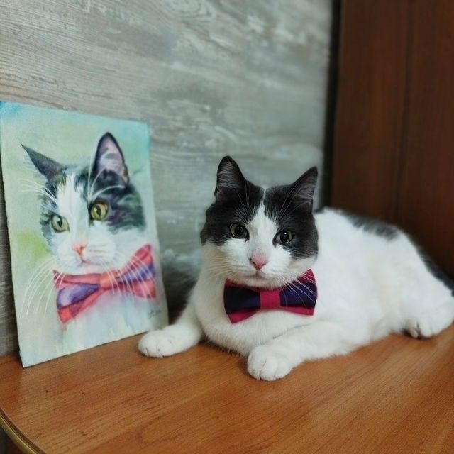 larisa_i_zhora в LOOKY. . Сегодня я хочу подел...