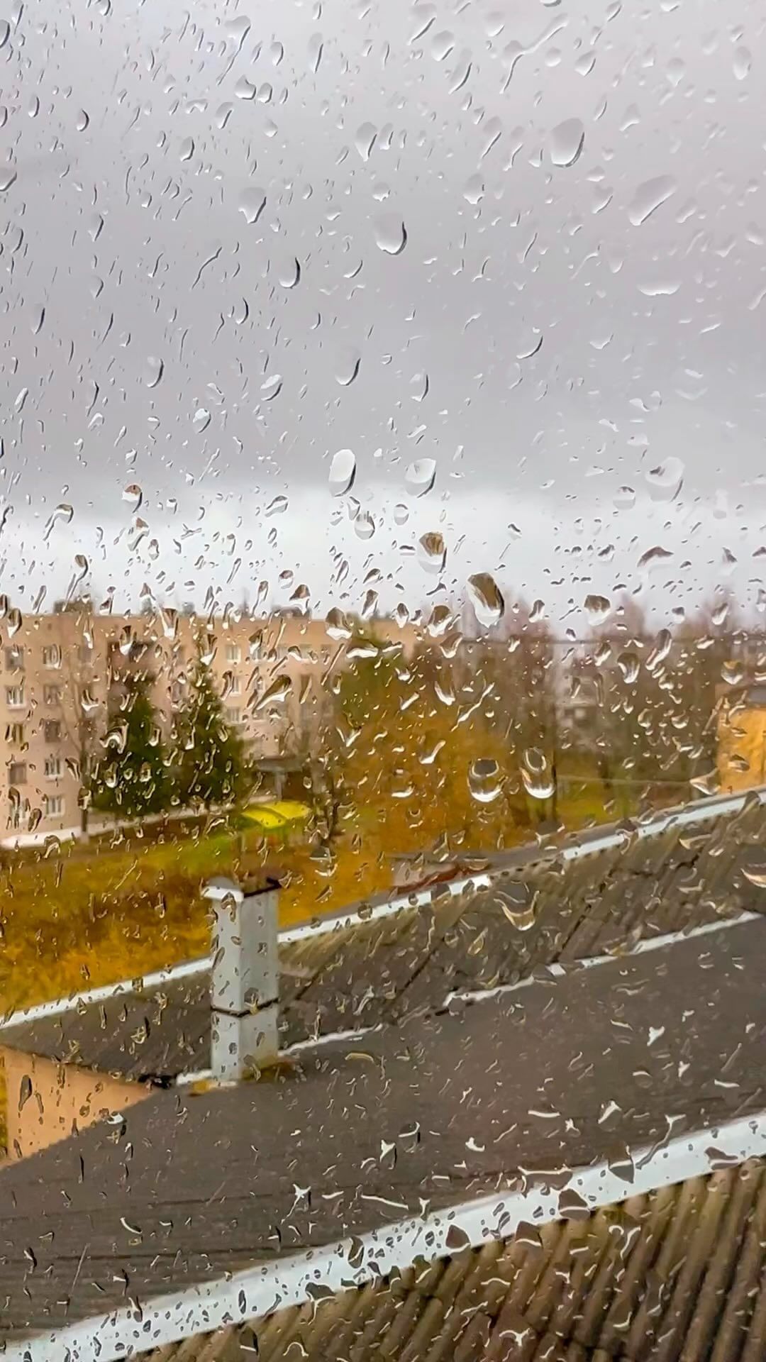 marina.alexandrovna.ru в LOOKY. . null