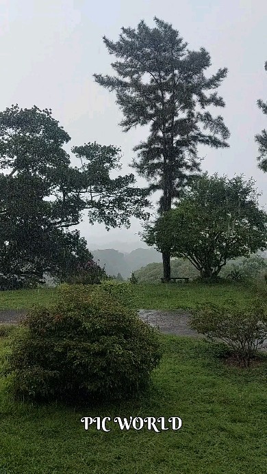 mrinform2 in LOOKY. #peradeniya,#uop,#srilanka,#rainyday. Rainy day in peraden...