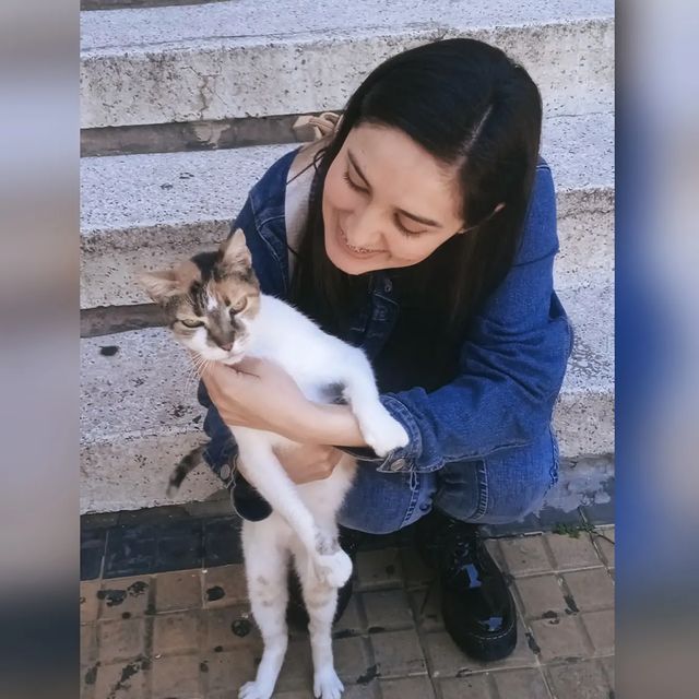 elenae082100 в LOOKY. #catsofinstagram. Mishi de tres colore...