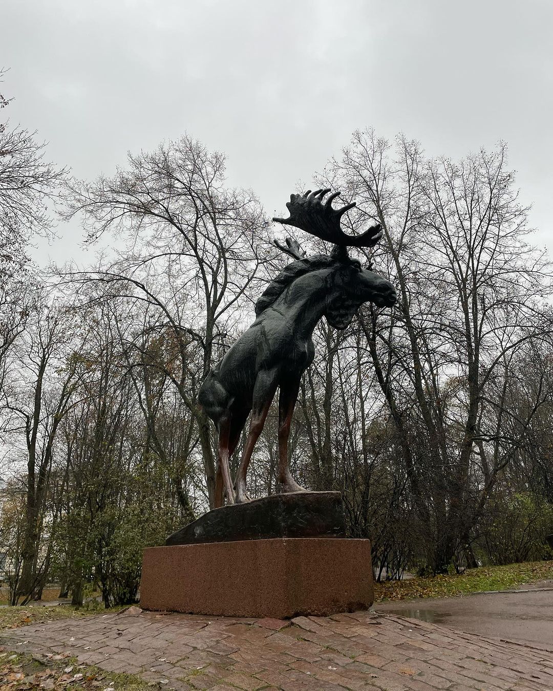 Лось, просто лось…