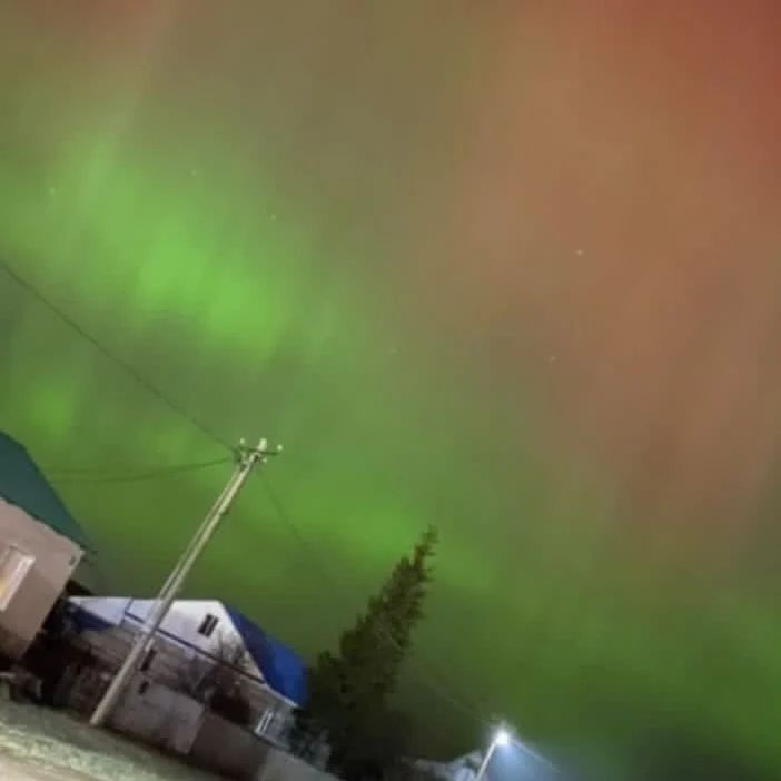 saratovskiy_prezident в LOOKY — фото 3