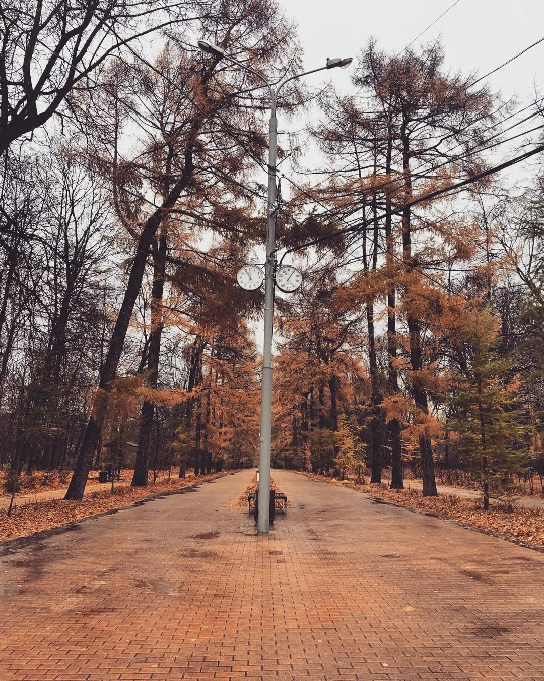 novikova_a92 в LOOKY — публикация