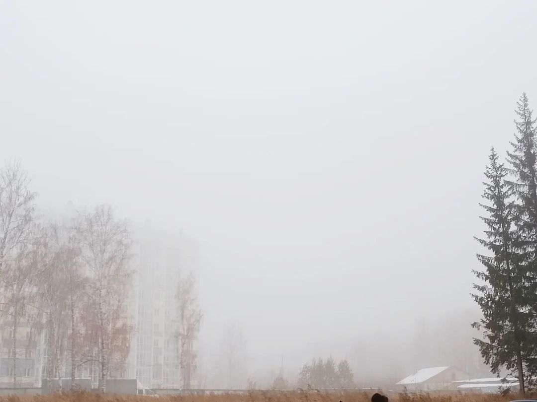 Туман🌫️