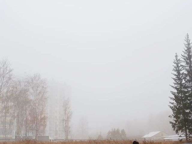 no_547_name в LOOKY. . Туман🌫️