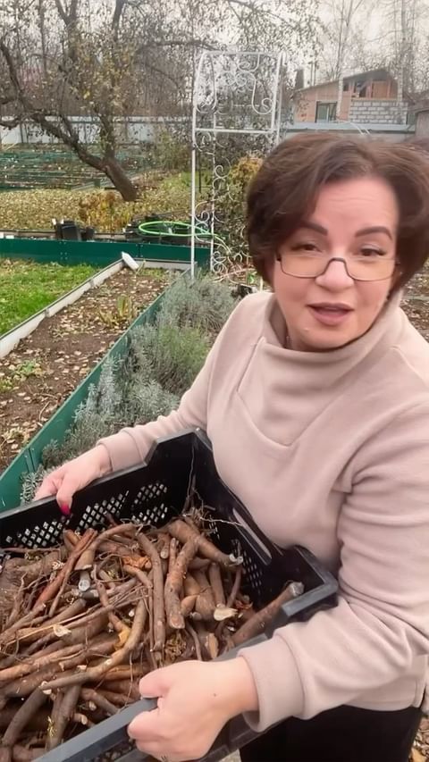 pionovyy_ray в LOOKY. . Начинаем МАРАФОН по ...