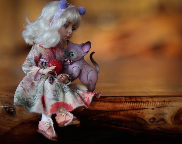 dollsofparadise в LOOKY. #nuzhnova_dolls,#walloyamorring,#девонрекс,#демонрекс,#devonrex,#curlycats,#catstagram,#cats,#котэ,#catsofinstagram,#котики. Неферита, а за что т...