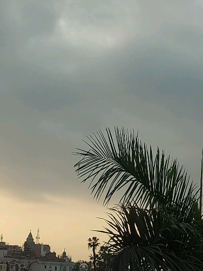 martha_br1 в LOOKY. . 🌄