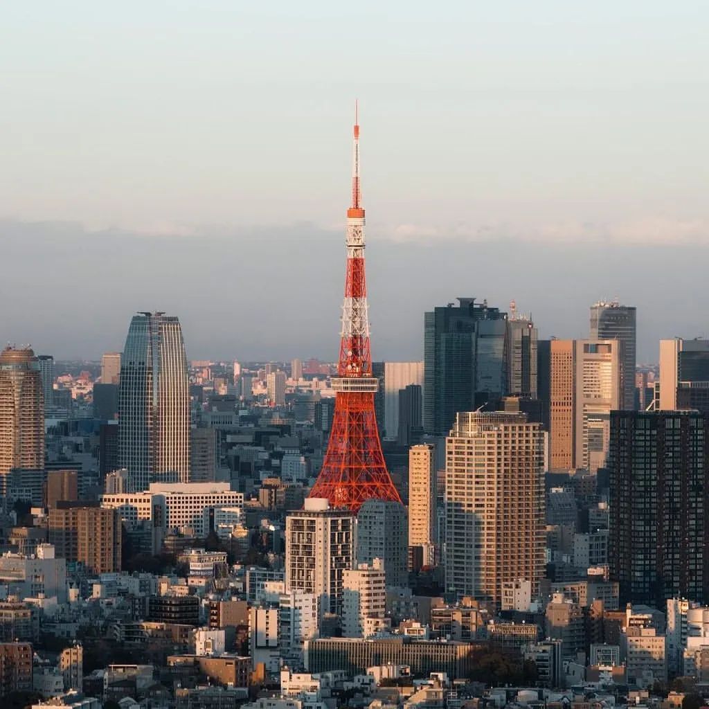 Tokio televideniye minorasi, shuningdek, Tokio minorasi[2] (yaponcha: màngānīタワー Tokyōtawa) — Tokioning Minato shahrida joylashgan tele va radioaloqa minorasi.  Minoraning balandligi 332,6 metrni tashkil qiladi.  Qurilish vaqtida u dunyodagi eng baland po'lat konstruktsiya edi.  U panjarali dizaynga ega va aviatsiya xavfsizligi standartlariga muvofiq xalqaro to'q sariq va oq ranglarga bo'yalgan.  U Butunjahon baland minoralar federatsiyasining 29 ta eng baland binolari roʻyxatiga kiritilgan boʻlib, ular orasida 14-oʻrinni egallagan.  Dunyodagi eng baland teleminoralar orasida u atigi 23-o'rinni egallaydi.

Qurilish
 1957-1958 yillar.