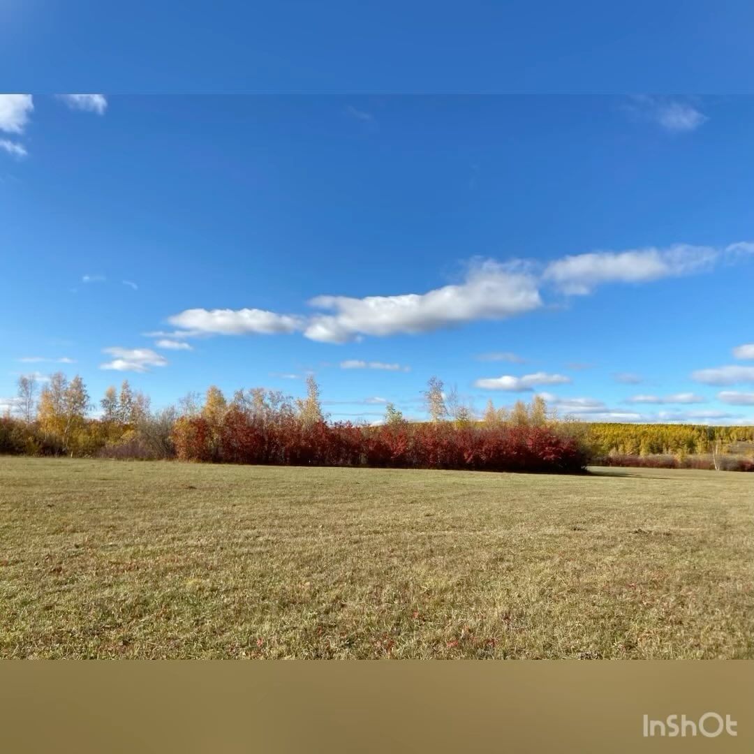 lubovkuzmina в LOOKY. . Көмүс күһүн,сылга би...
