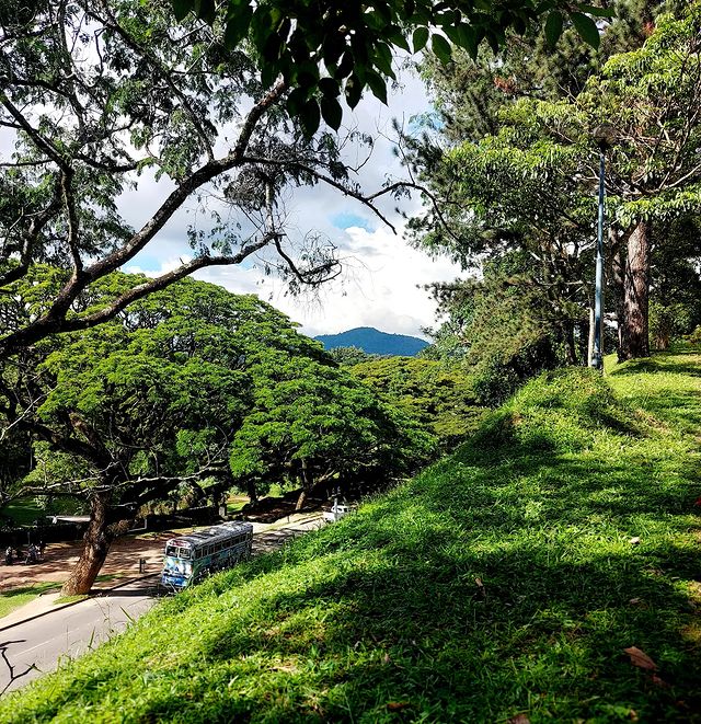 mrinform2 in LOOKY. #kandy,#srilanka,#beauty. Peradeniya JP hostel...