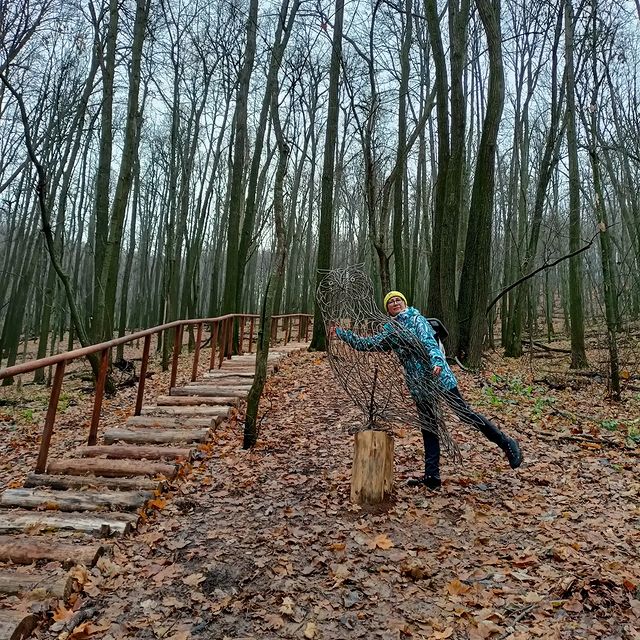 krylenkoelena в LOOKY. #жигулевскийзаповедник,#гулены,#осеньпрекрасна,#хозяйкамеднойгоры. Как будто побывали в...