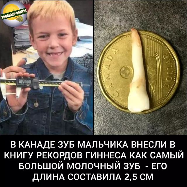 faktst0p в LOOKY. . Спасибо за ❤️
Подпис...