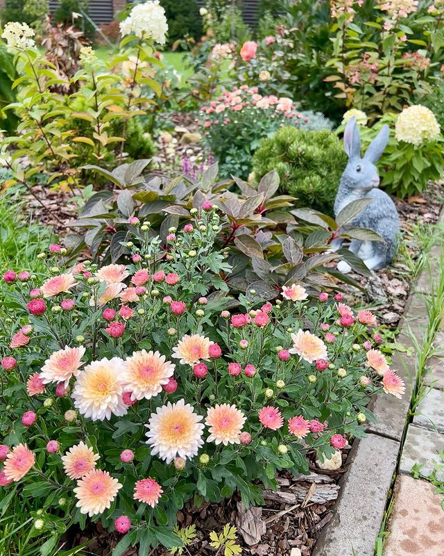 catherine___garden в LOOKY. . null