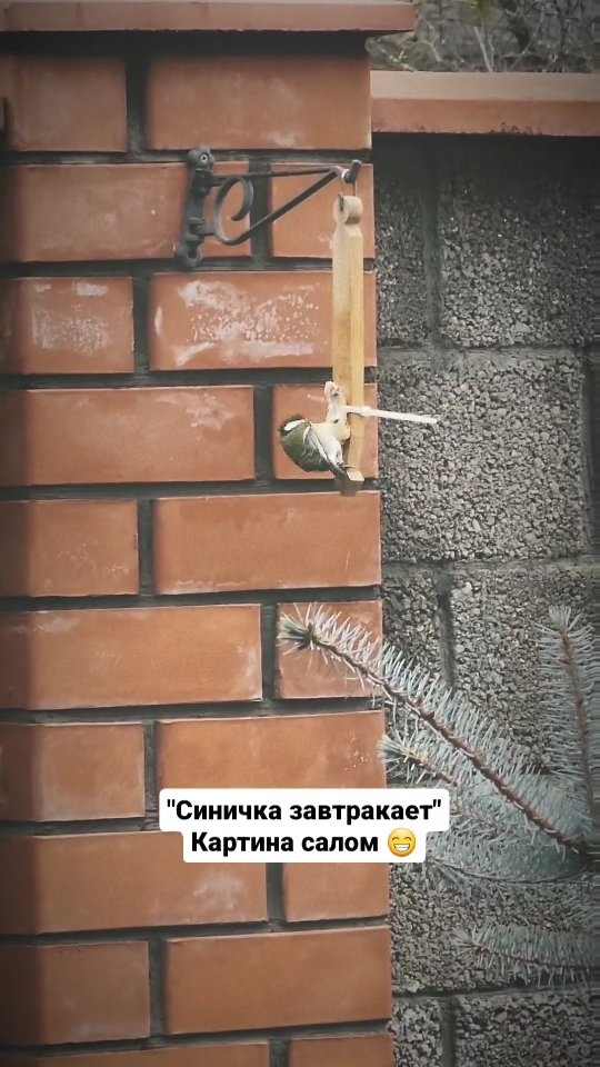 kat_parhomenko в LOOKY. . Раньше прилетят, пок...