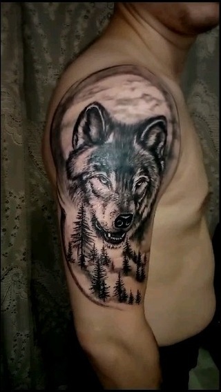 tattooart_kms в LOOKY. #комсомольскнаамуретату,#татуировкавкомсе,#Тату,#TattooArtist,#Татуировки,#TattooWorker,#Татухи,#InkedPeople,#GetInked,#tattoovkomse,#Tattoo,#Tattoolife,#Тату,#Tattoosketch,#Tattoostudio,#Татумастер,#Tattooartist,#TattooWorker,#Oldschooltattoo,#Tattoolife,#Tattoowomen,#Tattoomen,#flashtattoo,#blacktattoo,#neotraditionaltattoo,#komsomolsknaamure,#graphicaltattoo,#татудлядевушек,#татудляпарней,#комсомольскнаамуретату,#татудлядевушек,#татудляпарней,#славянскиетату,#скандинавскиетату,#татуруны,#татусимволы. Для записи на сеанс ...