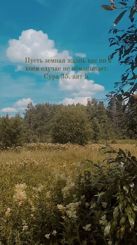 tkh_vvva в LOOKY. . null