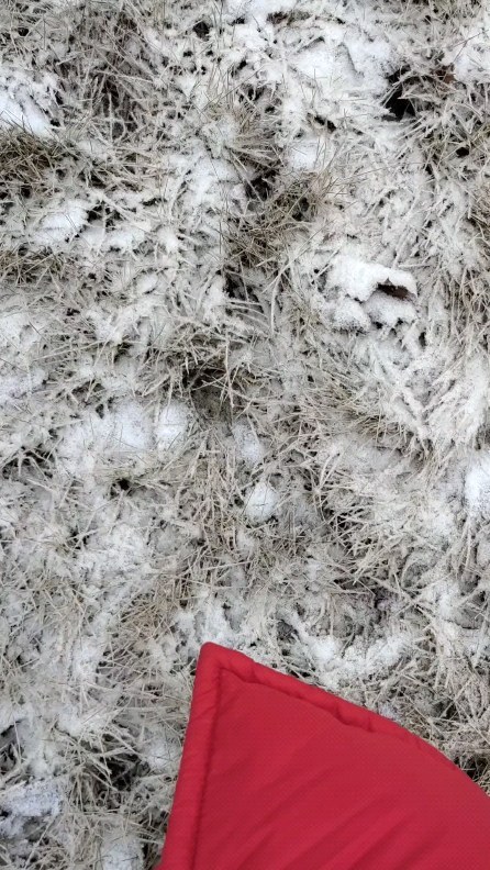 fligeon в LOOKY. #зима#зимушка#обожаюзиму#снег#winter#snowflakes#зимнийлес#девушкавкрасном#. #зима#зимушка#обожаю...