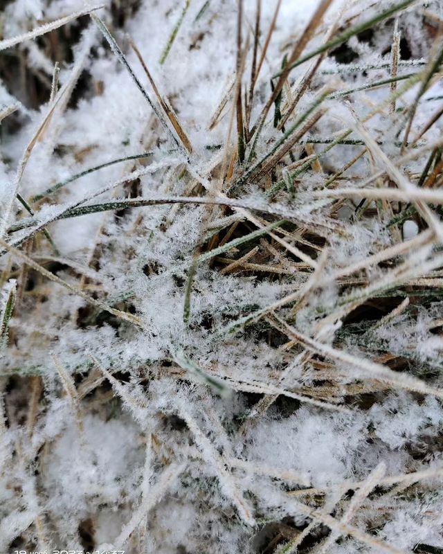 fligeon в LOOKY. #зима#зимахолода#снег#snowflakes#winter#. Наконец- то я дождал...