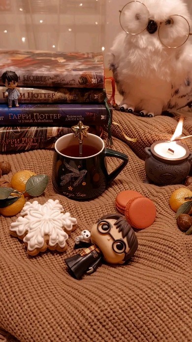veselov_ss в LOOKY. #harrypotter,#november,#autumn,#goodnight,#cosplay,#instafood,#новосибирск,#мандарины,#москва,#санктпетербург,#уют,#декор,#гаррипоттер. Открываем сезон уютн...