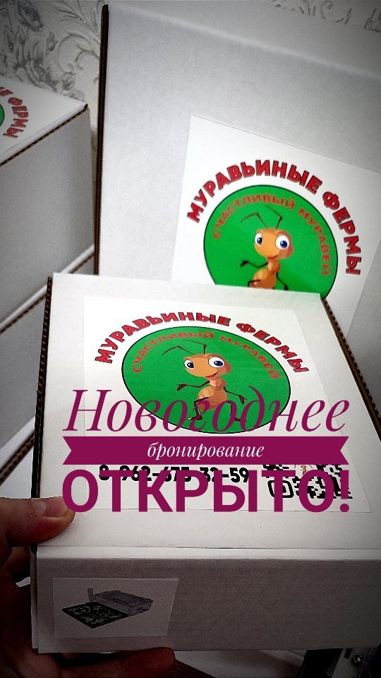 ant_happy_27 в LOOKY. . Упаковали первые пре...