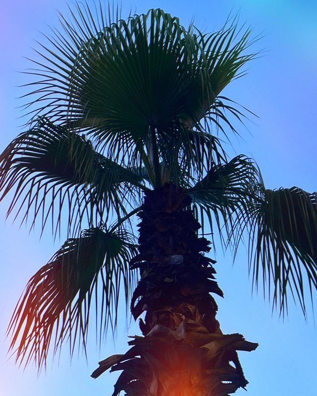maryandrienko в LOOKY. . null
