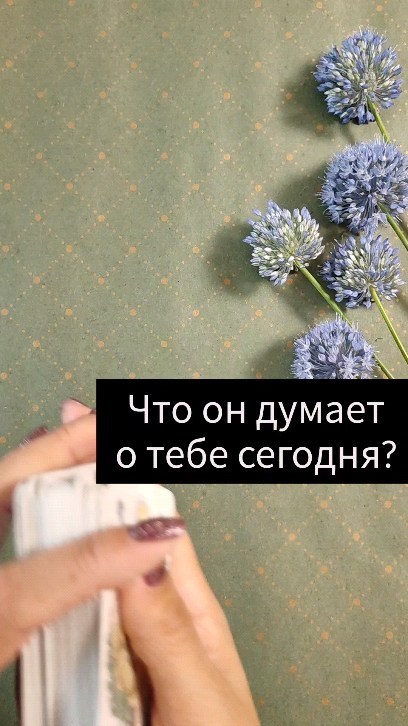 dergacheva13 в LOOKY. #таро,#раскладытаро,#тароереван,#тарокраснодар,#таромосква,#психологиятаро,#отношения,#общийрасклад,#таросургут,#таролог,#тарологонлайн. ЧТО ОН ДУМАЕТ О ТЕБЕ...