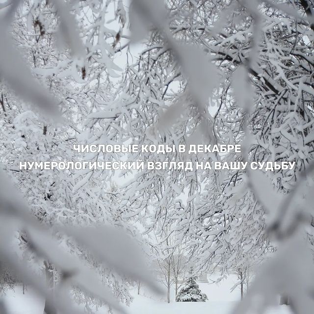 МАТРИЦА СУДЬБЫ И КОД ЛЮБВИ в LOOKY. #ЧисловыеКоды,#ДекабрьПрогноз,#Нумерология,#ДекабрьМесяц,#Судьба,#ЛичныйКодМесяца,#ТайныЧисел,#ДатаРождения,#ЭнергияЧисел. Число 1. Декабрь при...