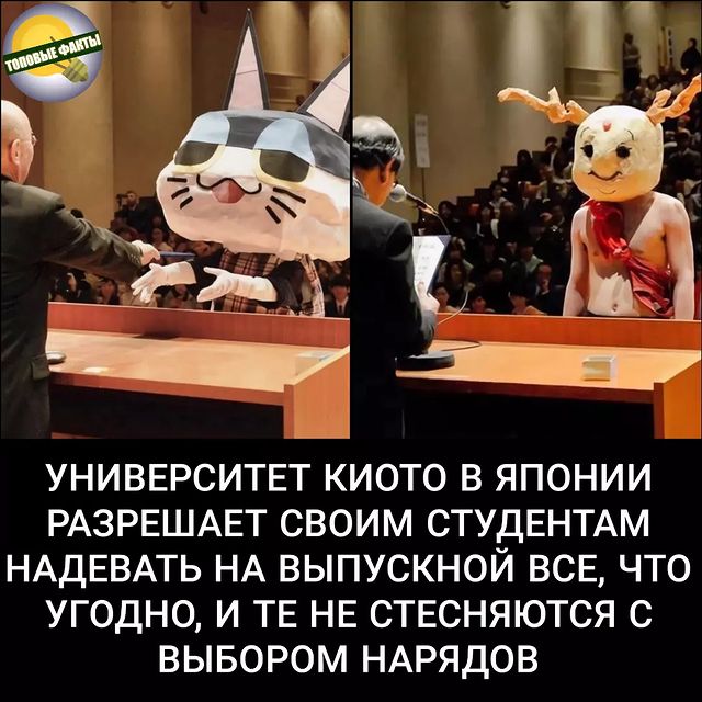 faktst0p в LOOKY. . Спасибо за ❤️
Подпис...