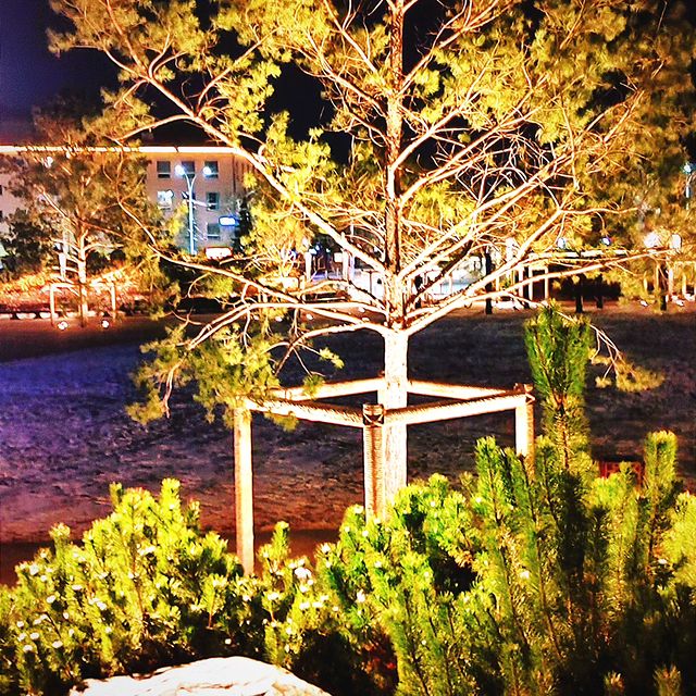 transfer_privet в LOOKY. . null